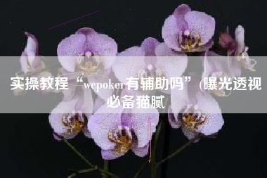 实操教程“wepoker有辅助吗”(曝光透视必备猫腻