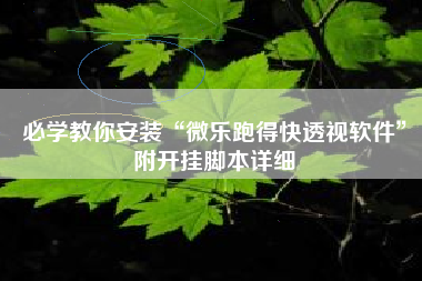 必学教你安装“微乐跑得快透视软件	”附开挂脚本详细