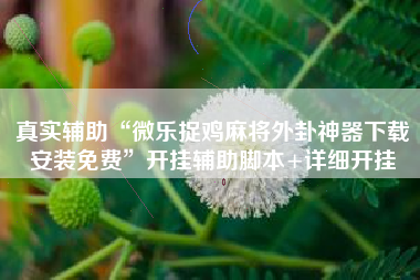 真实辅助“微乐捉鸡麻将外卦神器下载安装免费”开挂辅助脚本+详细开挂