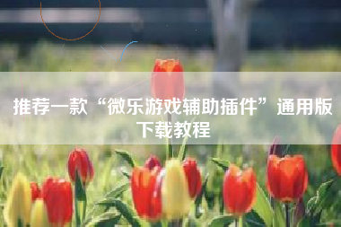 推荐一款“微乐游戏辅助插件”通用版下载教程