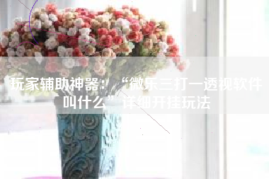 玩家辅助神器：“微乐三打一透视软件叫什么”详细开挂玩法