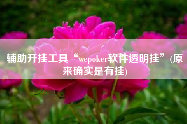 辅助开挂工具“wepoker软件透明挂”(原来确实是有挂)