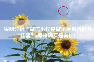 实测分析“微信小程序微乐麻将万能开挂器”(原来确实是有挂)