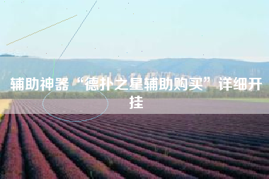 辅助神器“德扑之星辅助购买	”详细开挂