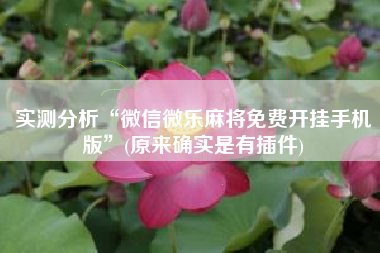 实测分析“微信微乐麻将免费开挂手机版	”(原来确实是有插件)