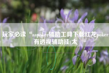 玩家必读“aapoker辅助工具下载红龙poker有透视辅助挂(太