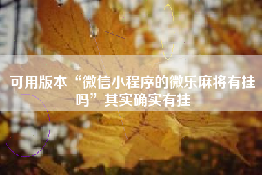 可用版本“微信小程序的微乐麻将有挂吗”其实确实有挂