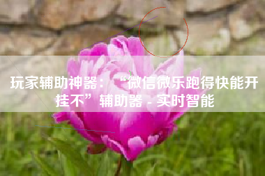 玩家辅助神器：“微信微乐跑得快能开挂不”辅助器 - 实时智能