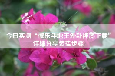 今日实测“微乐斗地主外卦神器下载”详细分享装挂步骤