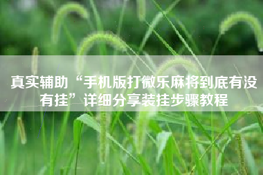 真实辅助“手机版打微乐麻将到底有没有挂”详细分享装挂步骤教程
