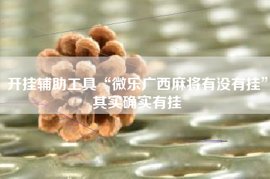 开挂辅助工具“微乐广西麻将有没有挂	”其实确实有挂