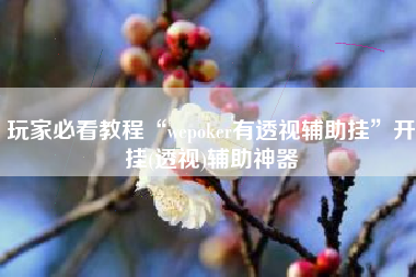 玩家必看教程“wepoker有透视辅助挂”开挂(透视)辅助神器