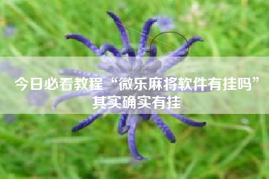 今日必看教程“微乐麻将软件有挂吗”其实确实有挂