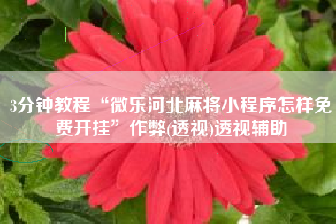 3分钟教程“微乐河北麻将小程序怎样免费开挂”作弊(透视)透视辅助