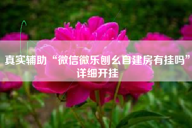 真实辅助“微信微乐刨幺自建房有挂吗”详细开挂