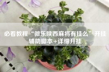 必看教程“微乐陕西麻将有挂么”开挂辅助脚本+详细开挂