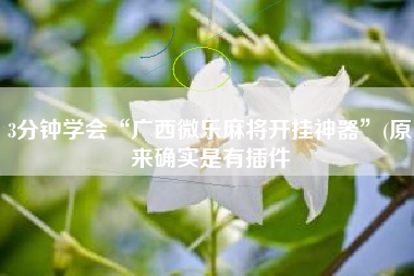 3分钟学会“广西微乐麻将开挂神器”(原来确实是有插件