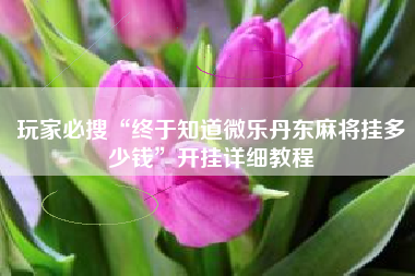 玩家必搜“终于知道微乐丹东麻将挂多少钱”开挂详细教程