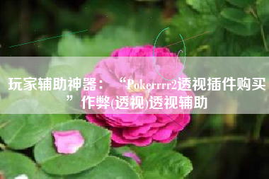 玩家辅助神器：“Pokerrrr2透视插件购买”作弊(透视)透视辅助