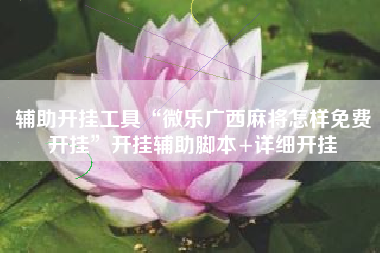 辅助开挂工具“微乐广西麻将怎样免费开挂”开挂辅助脚本+详细开挂