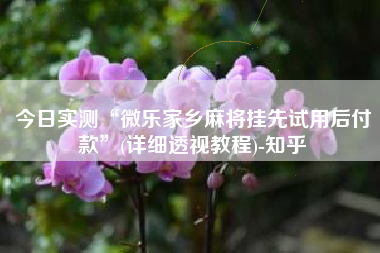 今日实测“微乐家乡麻将挂先试用后付款”(详细透视教程)-知乎