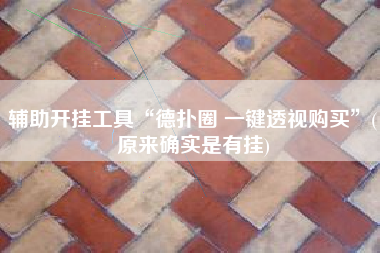 辅助开挂工具“德扑圈 一键透视购买	”(原来确实是有挂)