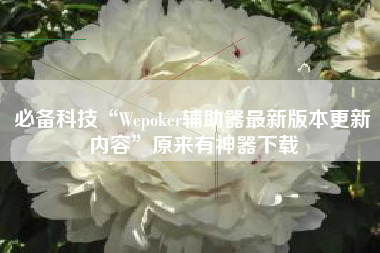 必备科技“Wepoker辅助器最新版本更新内容”原来有神器下载