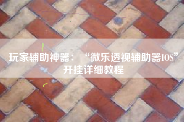 玩家辅助神器：“微乐透视辅助器IOS”开挂详细教程