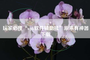 玩家必搜“wpk软件辅助挂	”原来有神器下载