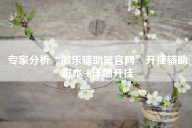 专家分析“微乐辅助器官网”开挂辅助脚本+详细开挂