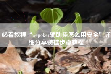必看教程“wepoker辅助挂怎么用安全	”详细分享装挂步骤教程
