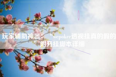 玩家辅助神器：“wepoker透视挂真的假的”附开挂脚本详细