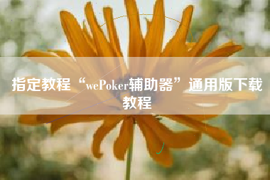 指定教程“wePoker辅助器	”通用版下载教程