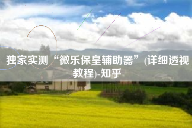 独家实测“微乐保皇辅助器	”(详细透视教程)-知乎