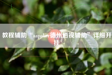 教程辅助“aapoker德州透视辅助	”详细开挂