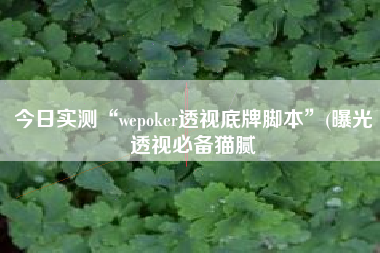 今日实测“wepoker透视底牌脚本”(曝光透视必备猫腻