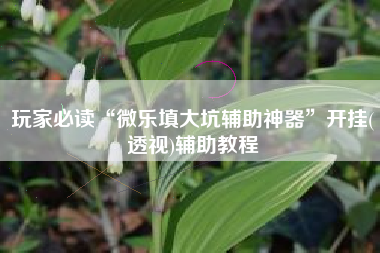 玩家必读“微乐填大坑辅助神器	”开挂(透视)辅助教程