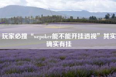 玩家必搜“wepoker能不能开挂透视”其实确实有挂