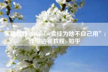 实操教程“hhpoker卖挂为啥不自己用”(详细透视教程)-知乎