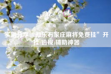 实测分享“微乐石家庄麻将免费挂	”开挂(透视)辅助神器