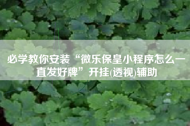 必学教你安装“微乐保皇小程序怎么一直发好牌	”开挂(透视)辅助