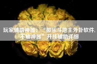 玩家辅助神器：“微乐斗地主外卦软件,不输神器”开挂辅助详细