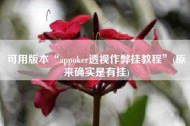 可用版本“appoker透视作弊挂教程	”(原来确实是有挂)