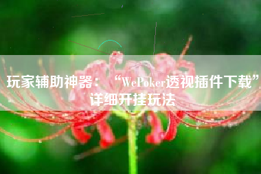 玩家辅助神器：“WePoker透视插件下载	”详细开挂玩法