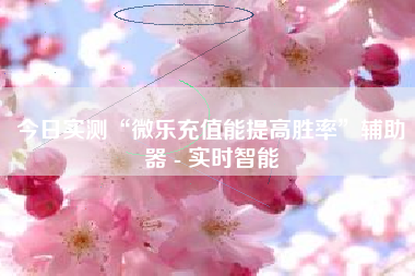 今日实测“微乐充值能提高胜率”辅助器 - 实时智能
