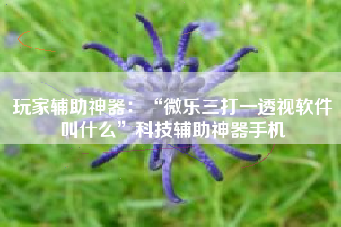 玩家辅助神器：“微乐三打一透视软件叫什么”科技辅助神器手机