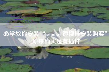 必学教你安装“wepoker透视挂安装购买”(原来确实是有插件