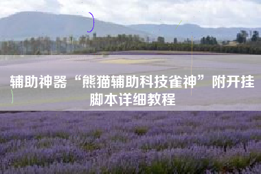 辅助神器“熊猫辅助科技雀神	”附开挂脚本详细教程