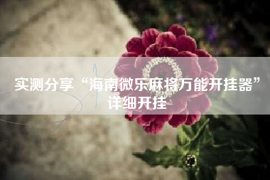 实测分享“海南微乐麻将万能开挂器”详细开挂