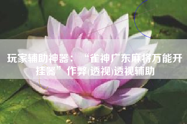 玩家辅助神器：“雀神广东麻将万能开挂器”作弊(透视)透视辅助